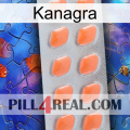 Kanagra 26